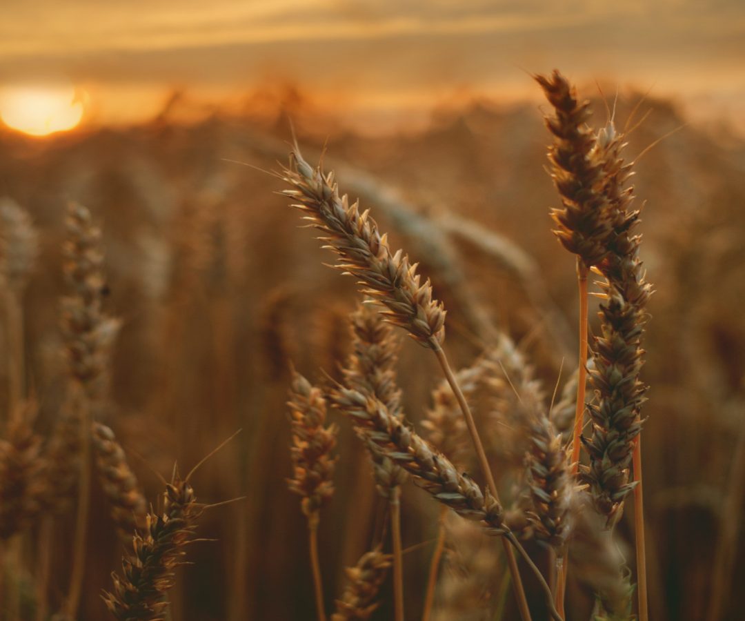 AdobeStock_385680999 AdobeStock_385680999